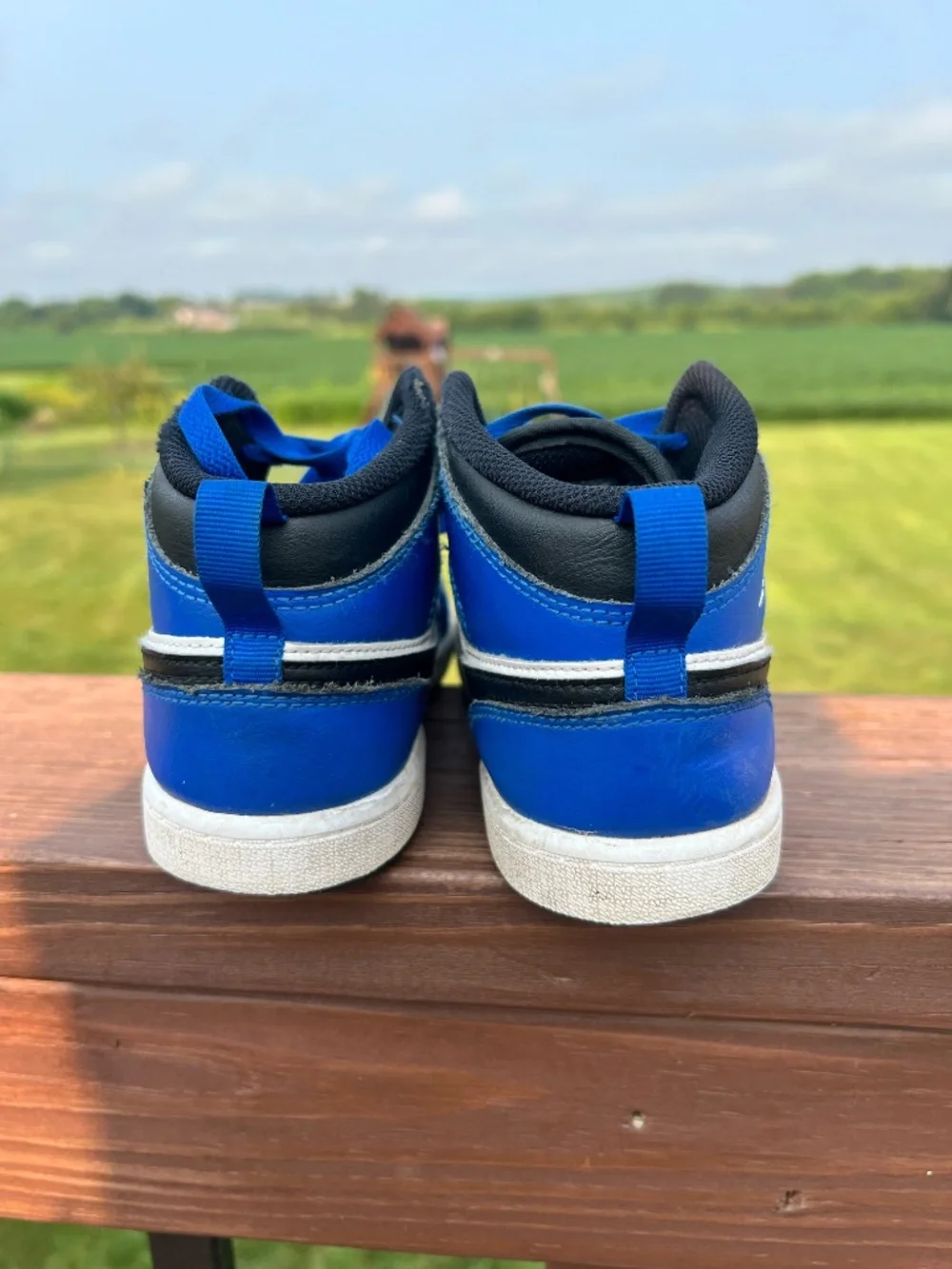 Air Jordan 1 Mid - Game Royal Blue/Black/White - Youth Size 3Y